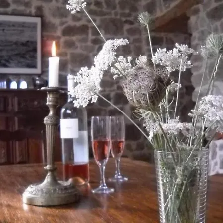 Gites Du Manoir De L'ormelais *